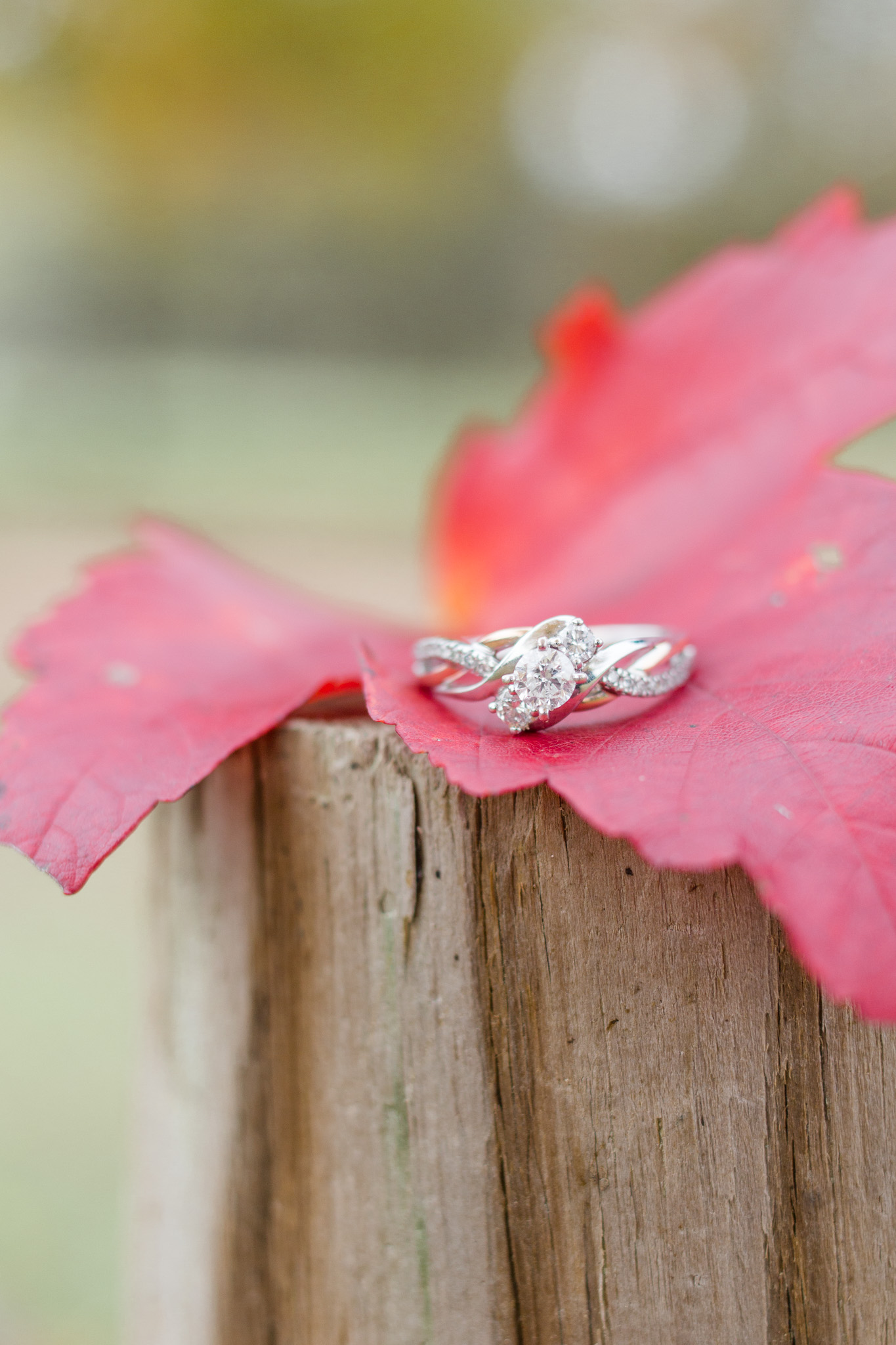Indiana fall engagement ring 